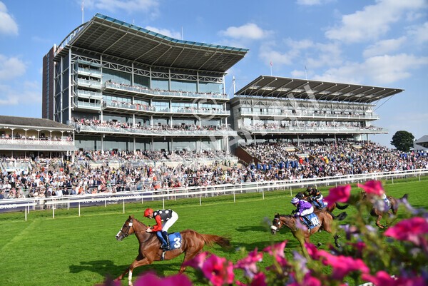 yr05092021r5-34 - Race 5 4.20pm Little Green Rascals Children's Nurseries Stakes