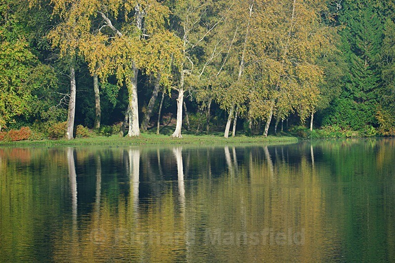  - Landscape