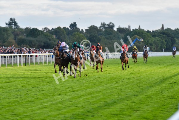 230923-Race 6-September Power-7004 - Race 6 4.55pm New To York Rio Brazilian Handicap