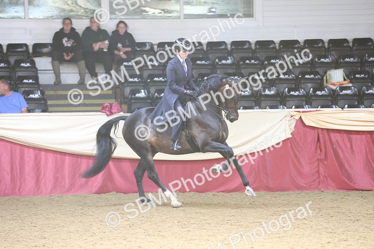 SBM_23770 - class 906 - Supreme Final - Ridden Pre Vet
