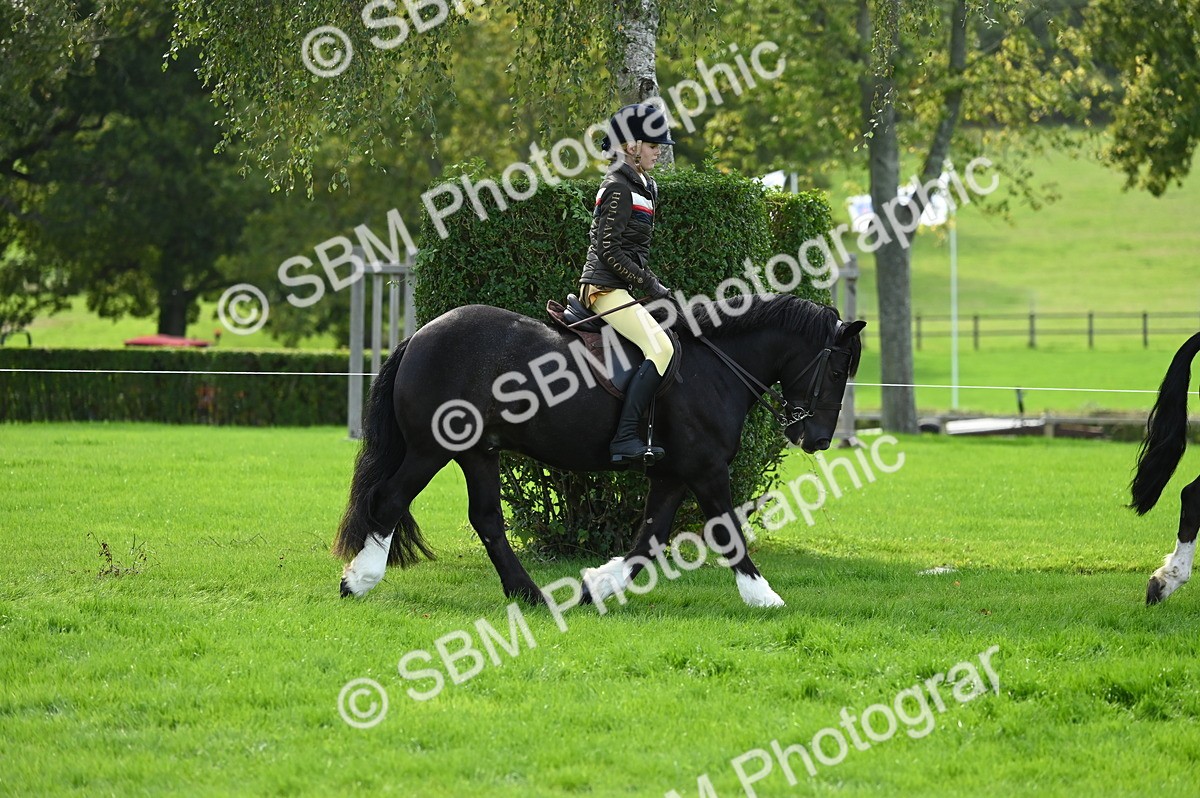 SBM_02605 - S3 - TSR Ridden Pony Showing