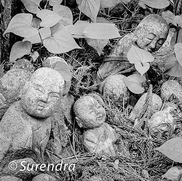 Nashinoki Jizo 4 - Jizo on Sado Island