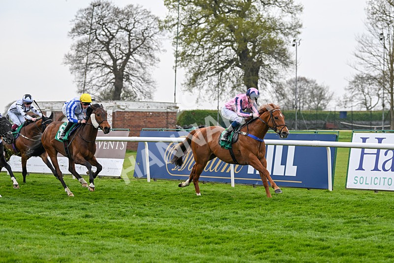 120425-Race 4-Alzahir-1162 - Race 4