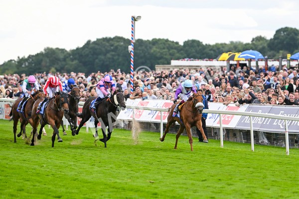 240824-Race 1-See The Fire-0966 - Race 1 1.50pm Sky Bet Strensall Stakes