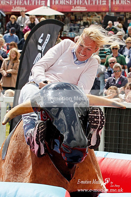 _LES7541w - Equestrian