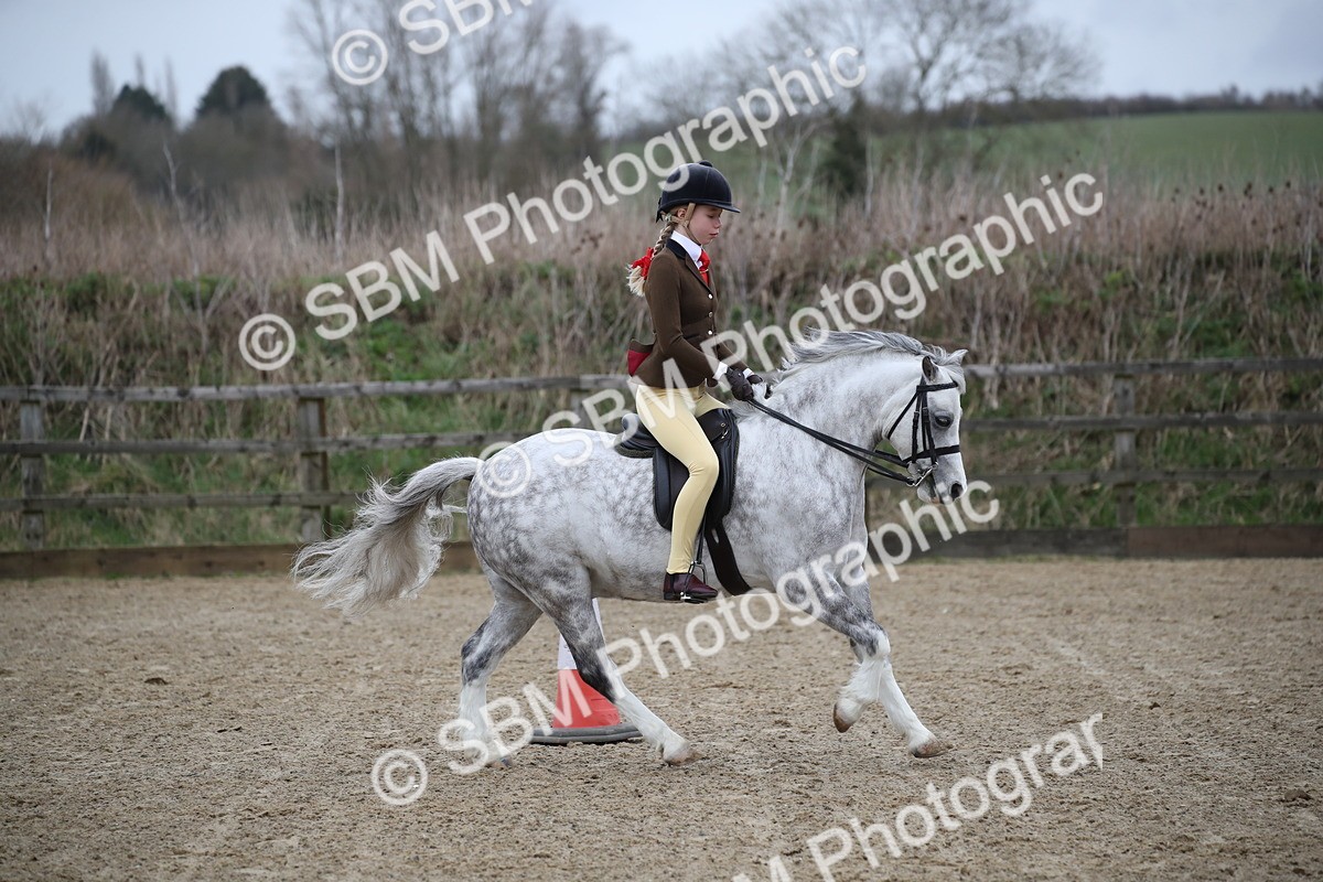SBM_005916 - Class 10-13 - RIHS Small Large Breeds
