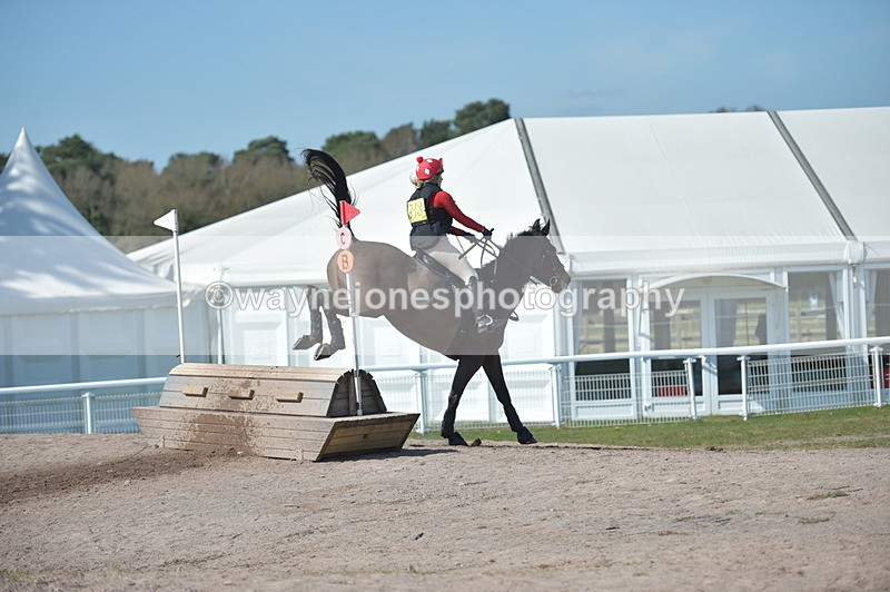 NGP_8954 - XC Time 13:52 to 14:13