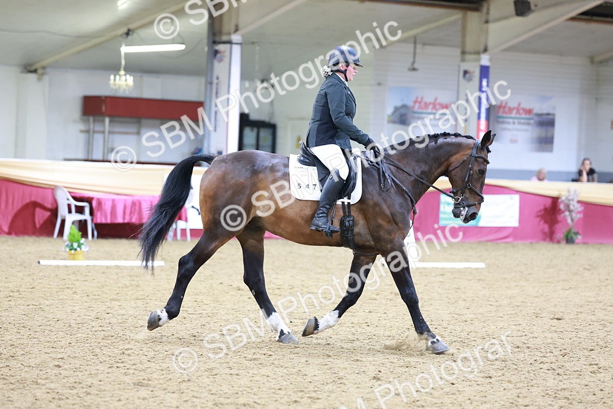 SBM_09808 - Class 61 - Dressage to Music