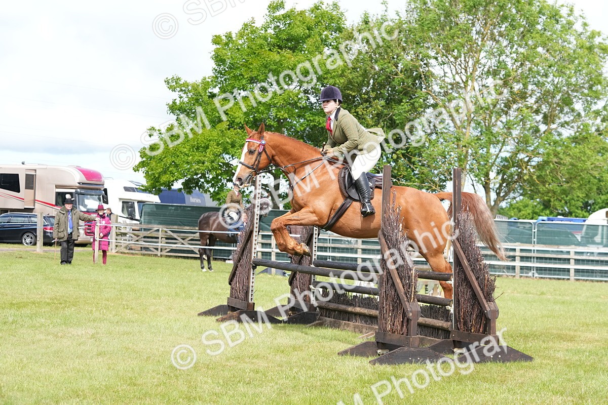 SBM_12903 - Class 99 - RIHS SEIB Working Show Horse