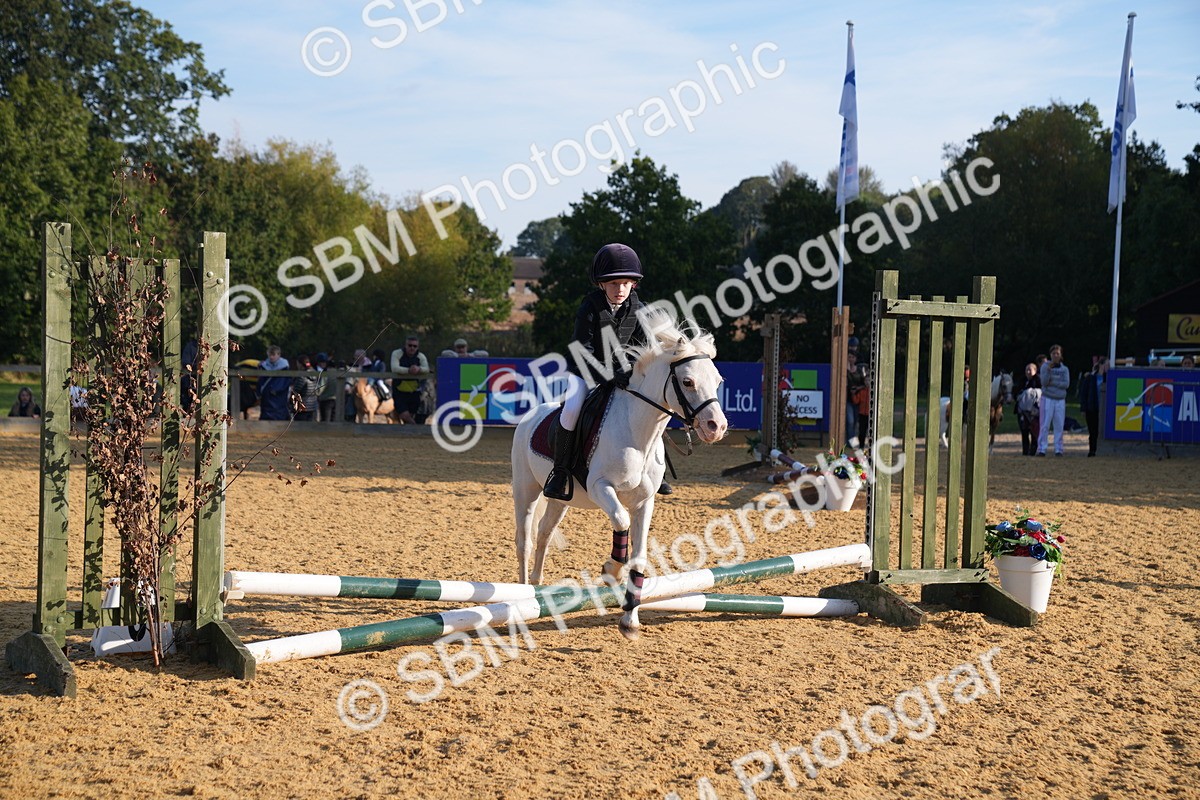 SBM_59061 - J63 - Minis Clear Round 30cm 40cm