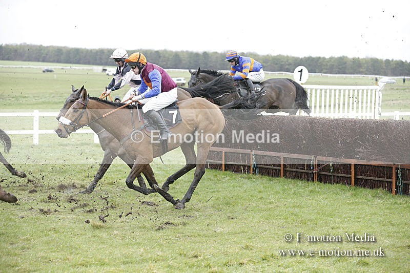 PtP 150320 0208 - New Forest Point-to-Point Larkhill 15/03/20