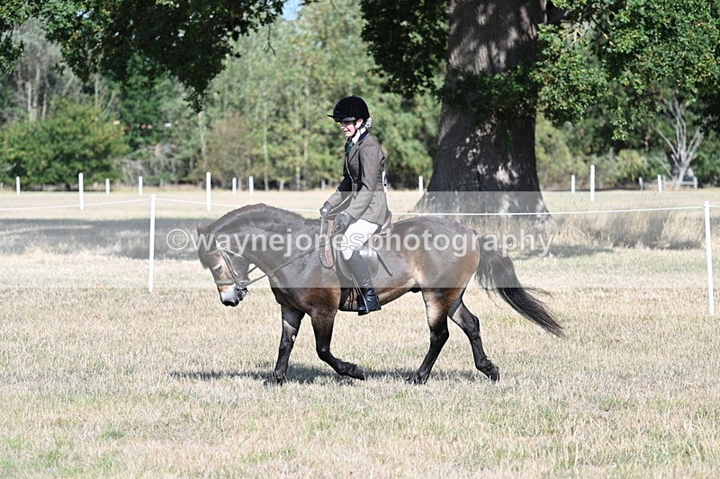 WJ7_2925 - Class 8 Ridden Tack & Turnout
