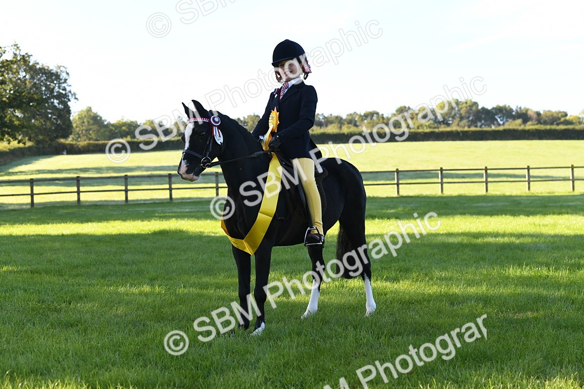 SBM_34096 - S16 - Condition & Turnout - Ridden