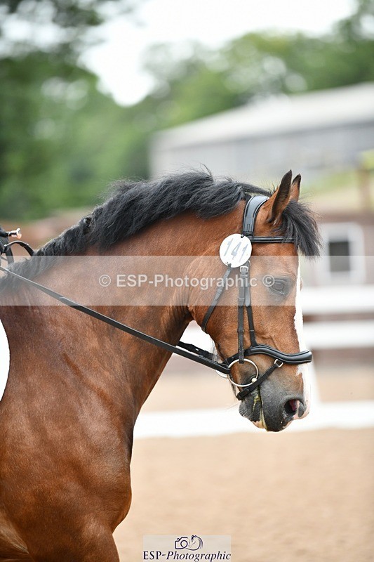 250705-092750-00011 - BRCP1 Sections BRCP1SNR, BRCP1JNR 09-30 to 10-40