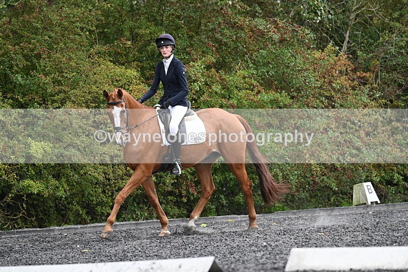 WJ7_6658 - Time 14:49 to 15:14