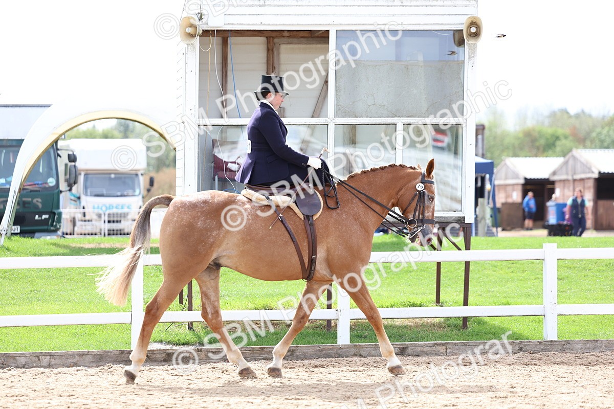 SBM_03295 - Class 23 - SSA Classical (any age)