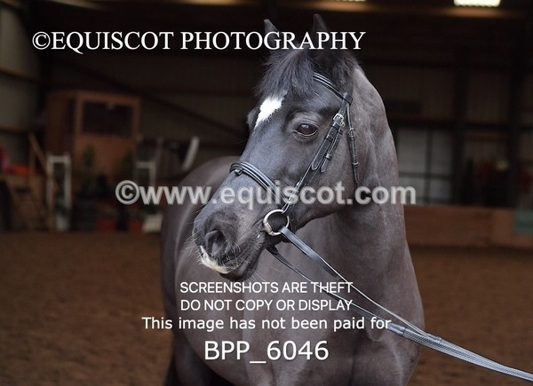 BPP_6046 - Erin Hancock ×2