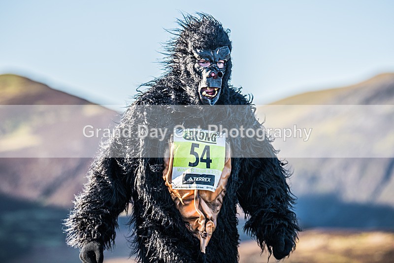 SOB-312 - Kong S.O.B. Fell Race Saturday 6th January 2024