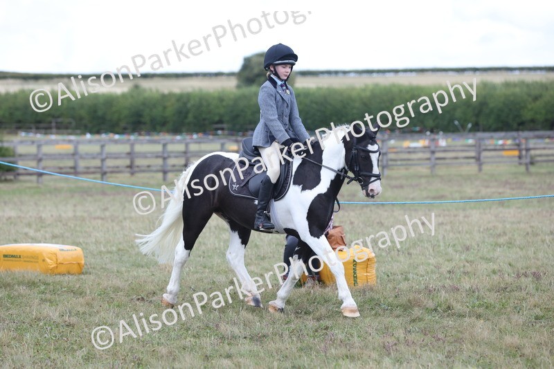 20250831-4211 - Class 20 - Ridden Coloured