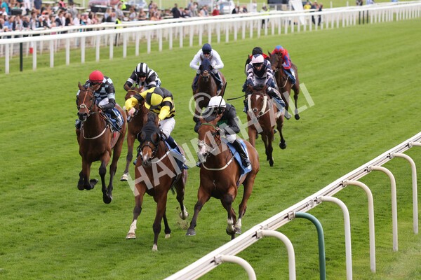 yr10062022r7-20 - Race 7 5.10pm Andy Thornton Hospitality Furniture Stakes