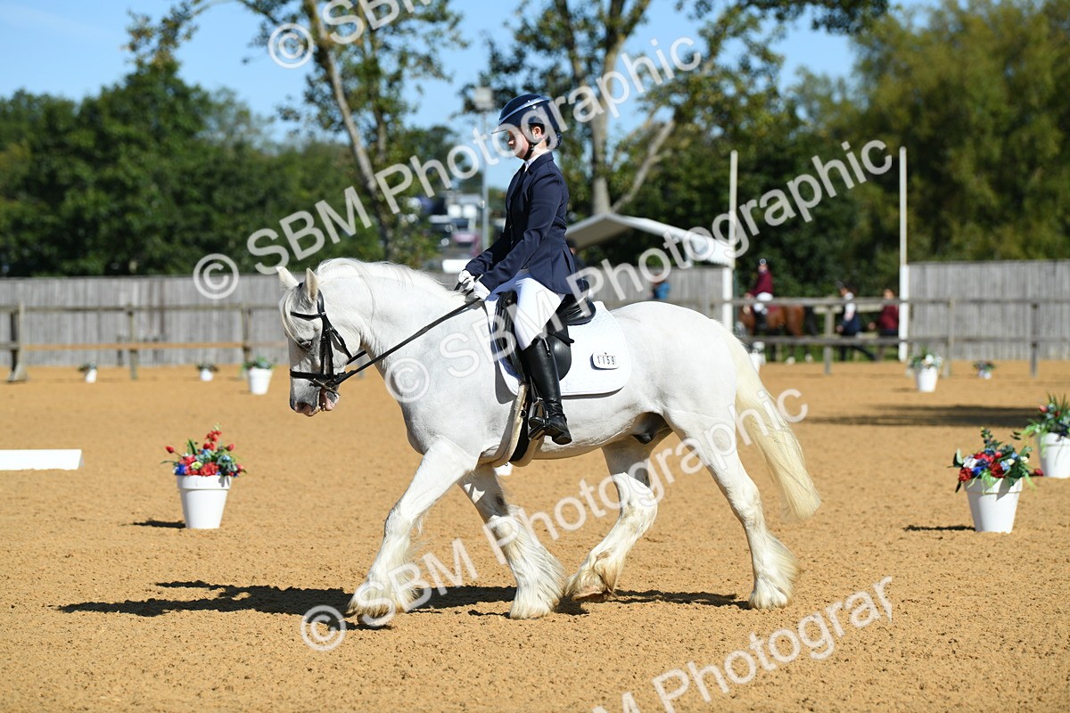 SBM_18111 - D4 - Small Tour Championship - Intro B