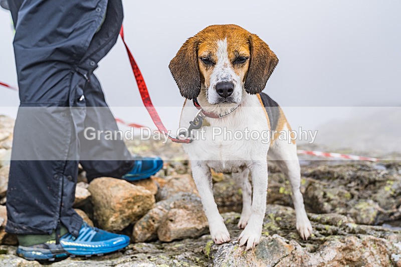 Great Lakes-383 - Great Lakes Fell Race Saturday 29th June 2024