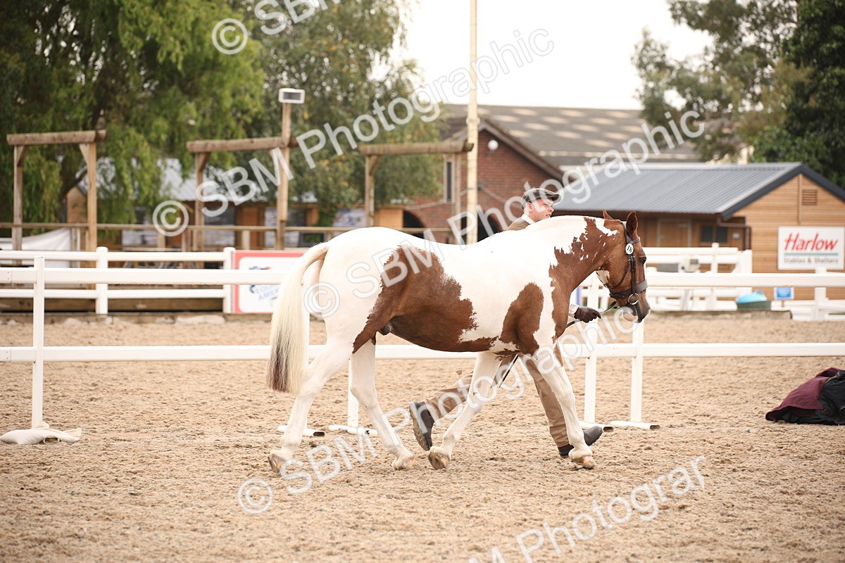 SBM_22110 - Class 707 - Ridden Groom-Helpers Class
