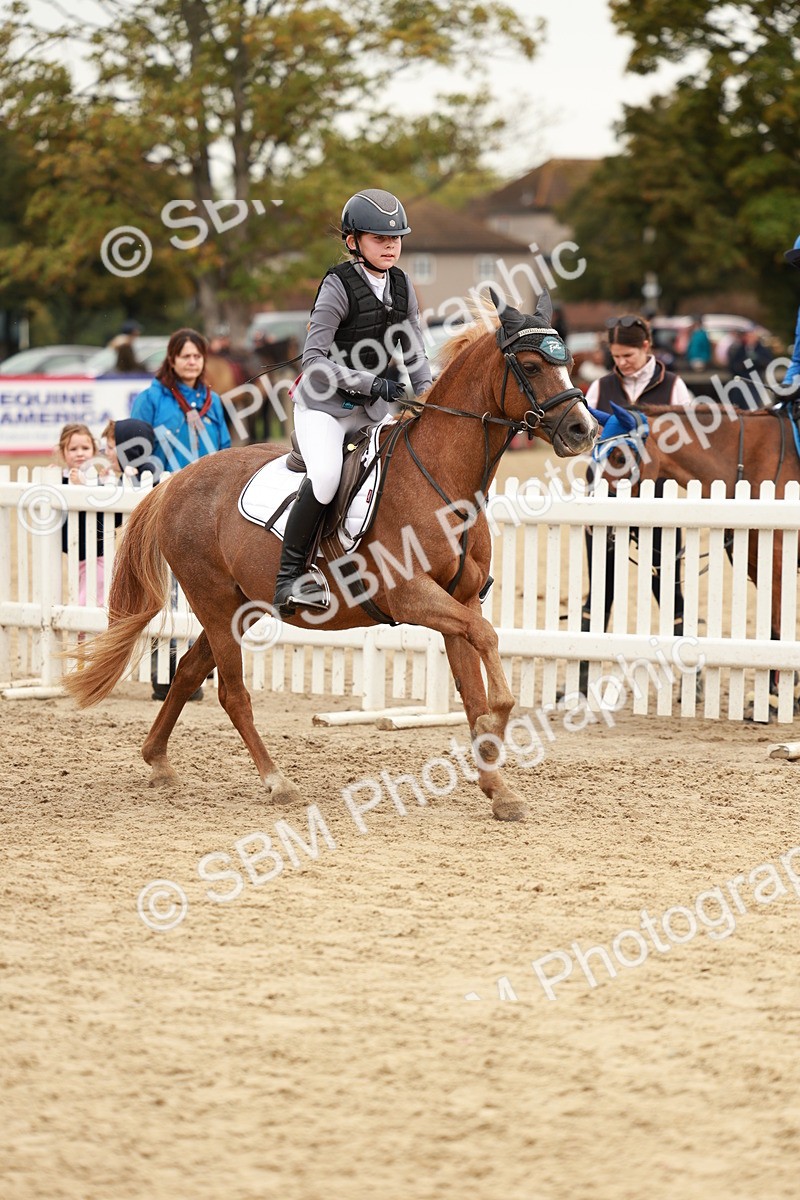 SBM_57977 - J11 - Junior Pony 50cm Championship