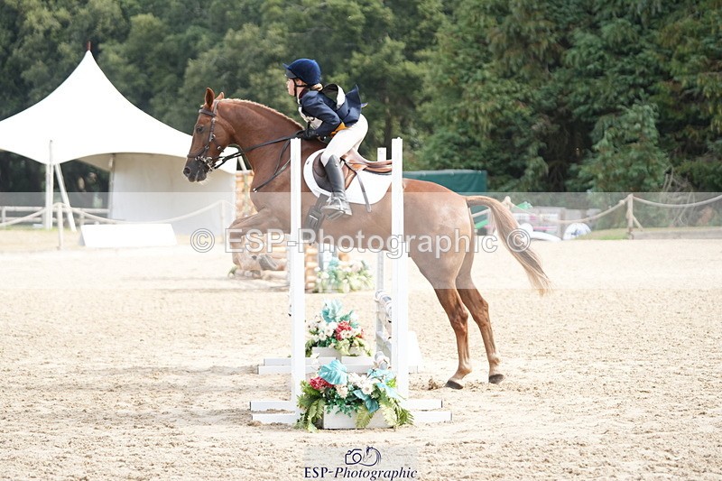 250824A-105648-34986 - 2063-Tabitha.Bosley-Chester