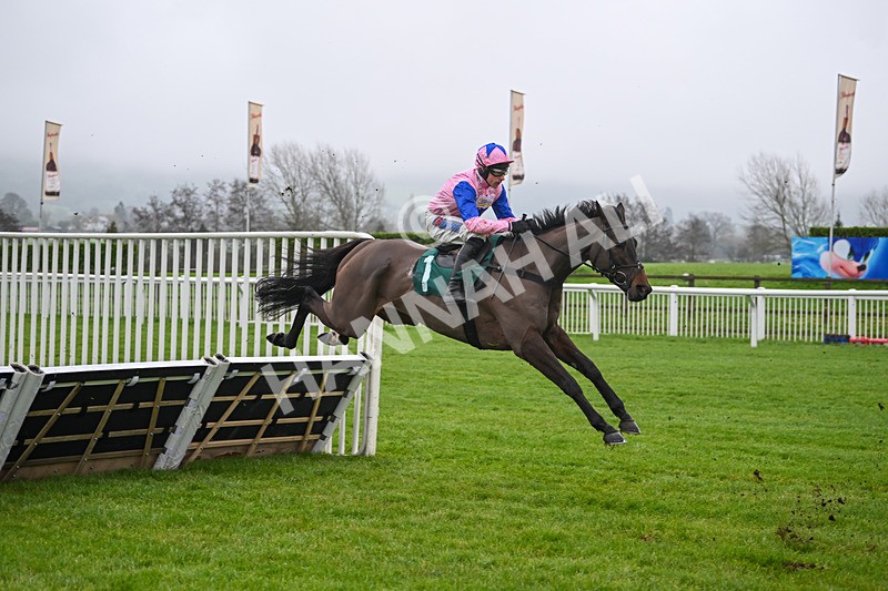 131224-Race 1-Country Mile-8561 - Race 1