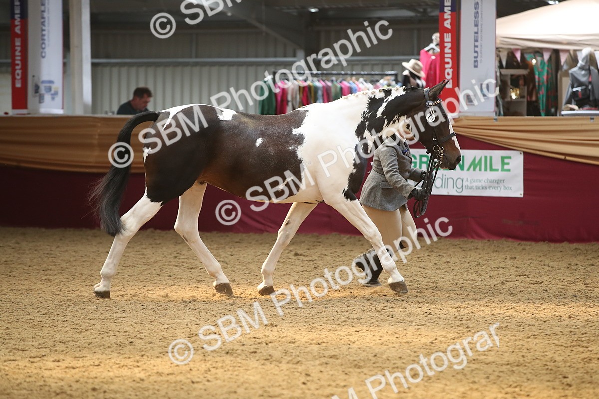 SBM_05635 - Class 9R - Regional IH Pre-Vet