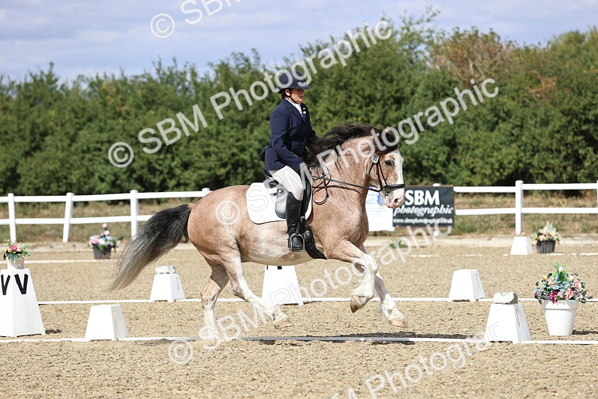 SBM_014568 - Class 5 - E5 Bronze 13.30.14.18