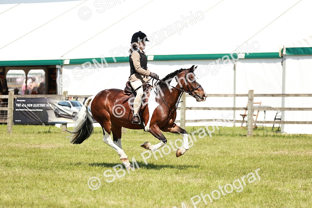 SBM_16358 - Class 110-111 - Training Stakes (70cms 80cms)