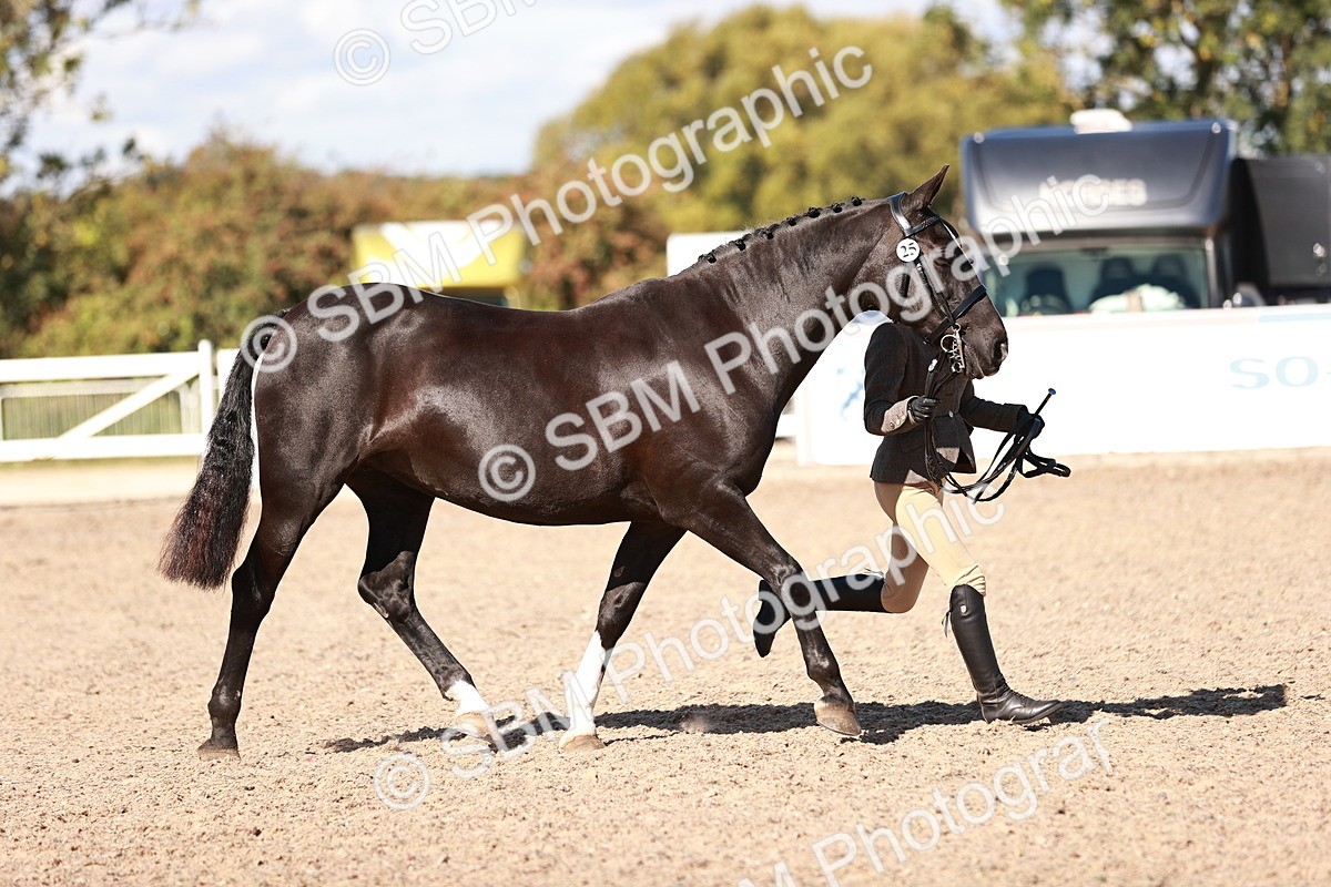 SBM_13303 - class 406 - IH Hunter