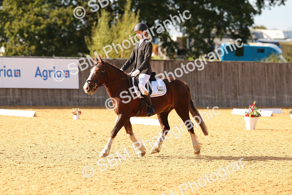 SBM_49628 - D22 - Junior Championship - Intro B