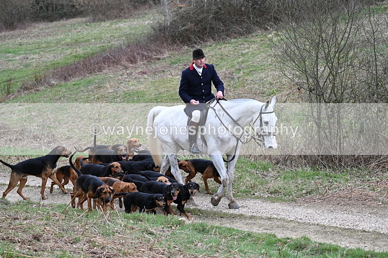 WJ7_7326 - Walk Home