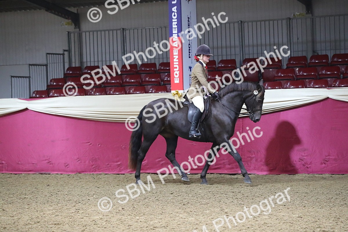 SBM_09384 - Class 101 Equitation (best rider), Junior