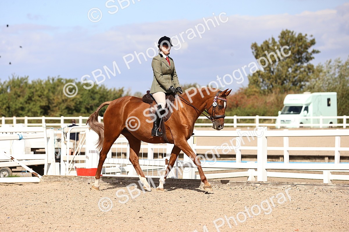 SBM_14272 - Class 411 - Prettiest Mare (IH OR Ridden) Adult