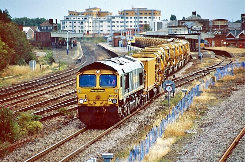 18th Aug 2013 - Taunton, Somerset