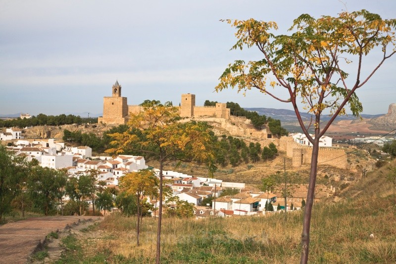 Alcazaba - European Landscapes