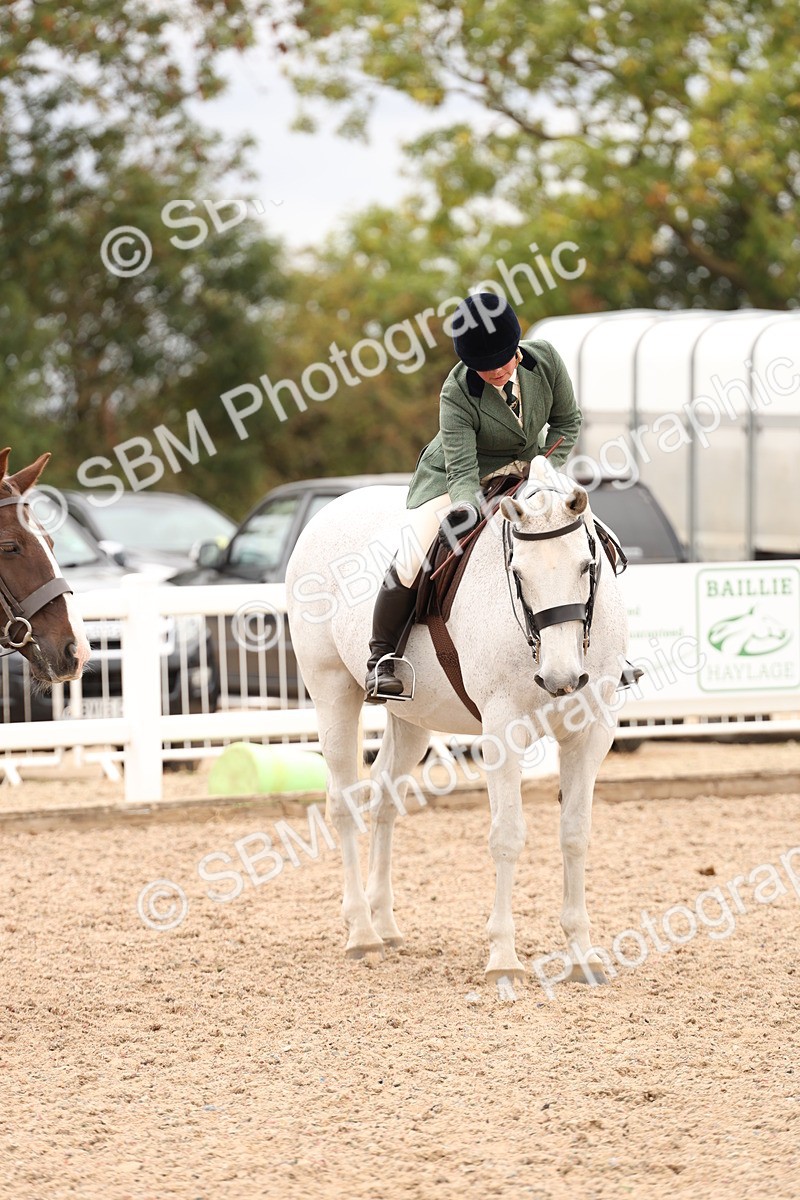 SBM_19588 - Class 215 - Ridden Show cob