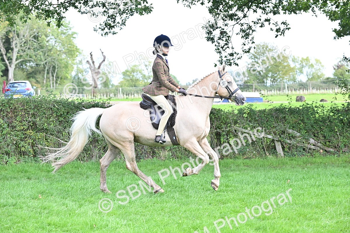 SBM_44505 - S13 - Pony Club Pony