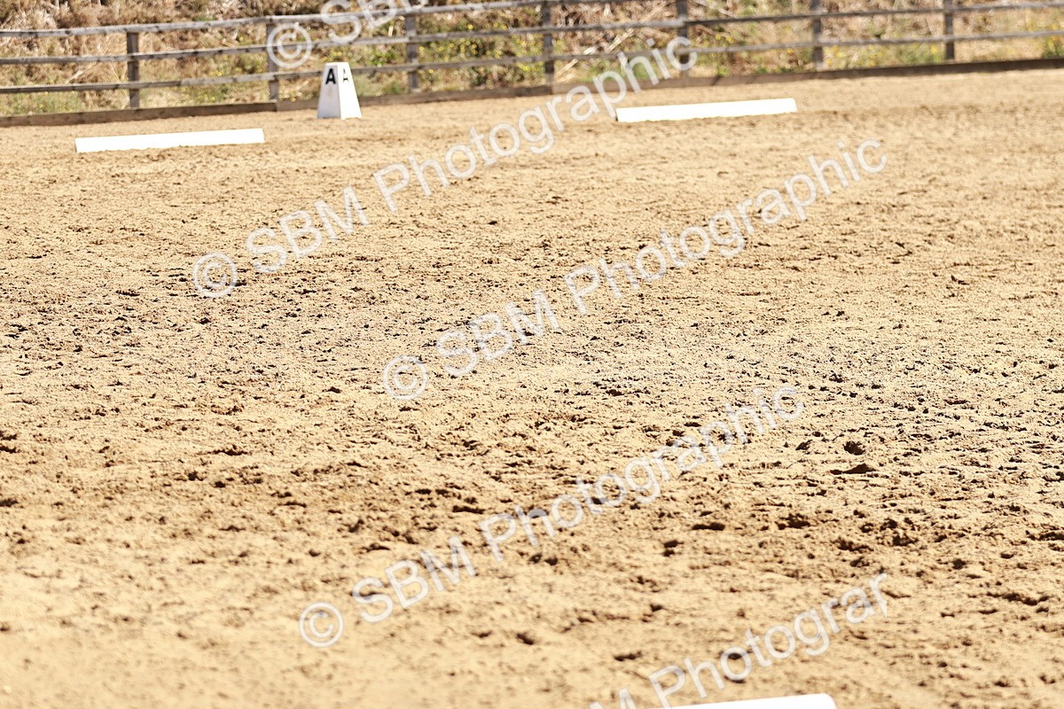 SBM_000843 - Class 12 - DR P1