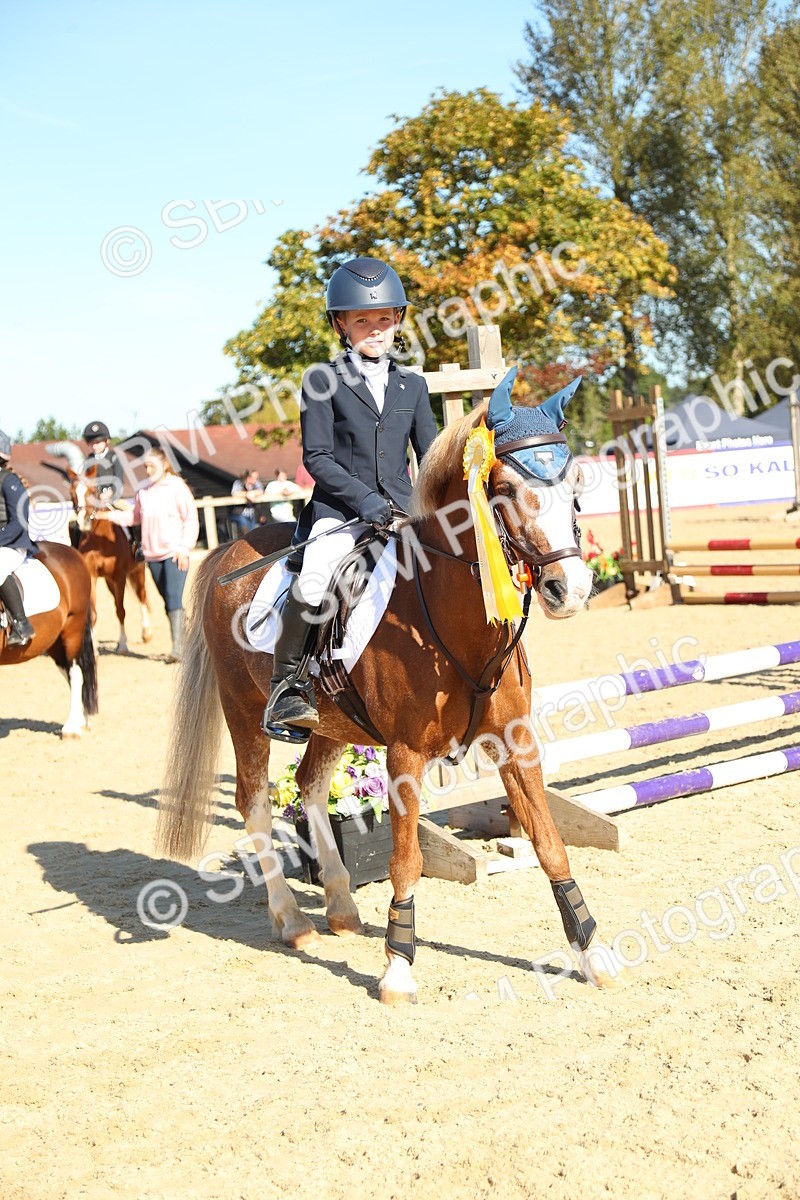 SBM_36029 - J5 - Junior Pony 50cm Championship