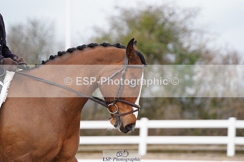 250322-100118-00113 - DR Prelim 2 Test