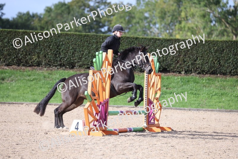 20251005-0391 - Class 3 - 60cm