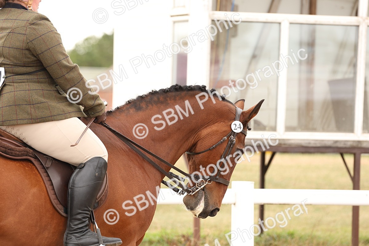 SBM_16462 - Class 212 - Ridden Hunter - Small