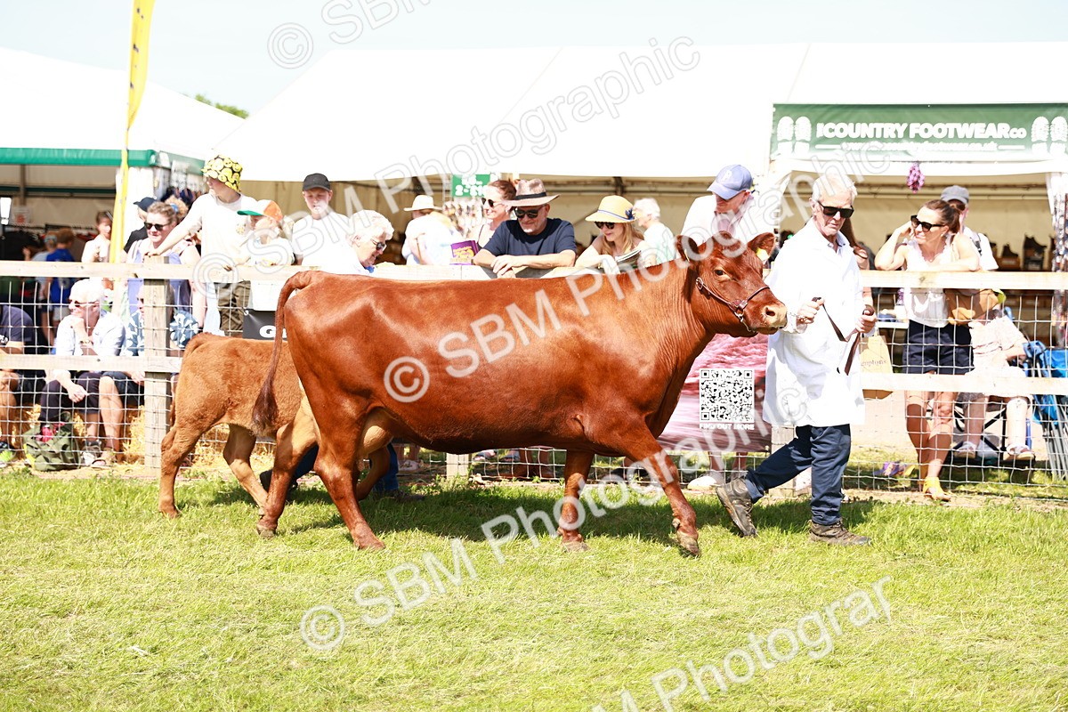 SBM_08370 - Grand Parade