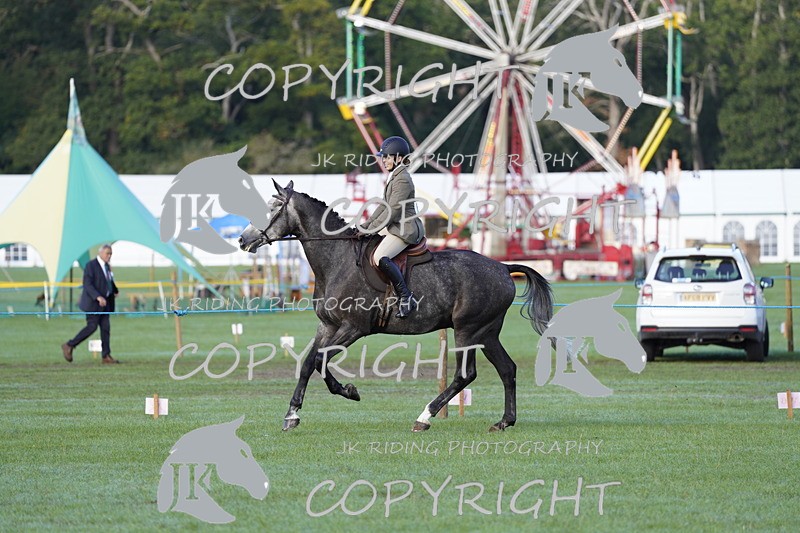 _DSC9404 - Class 8 & 17 Ridden Hunter & Ridden Hunter Pony