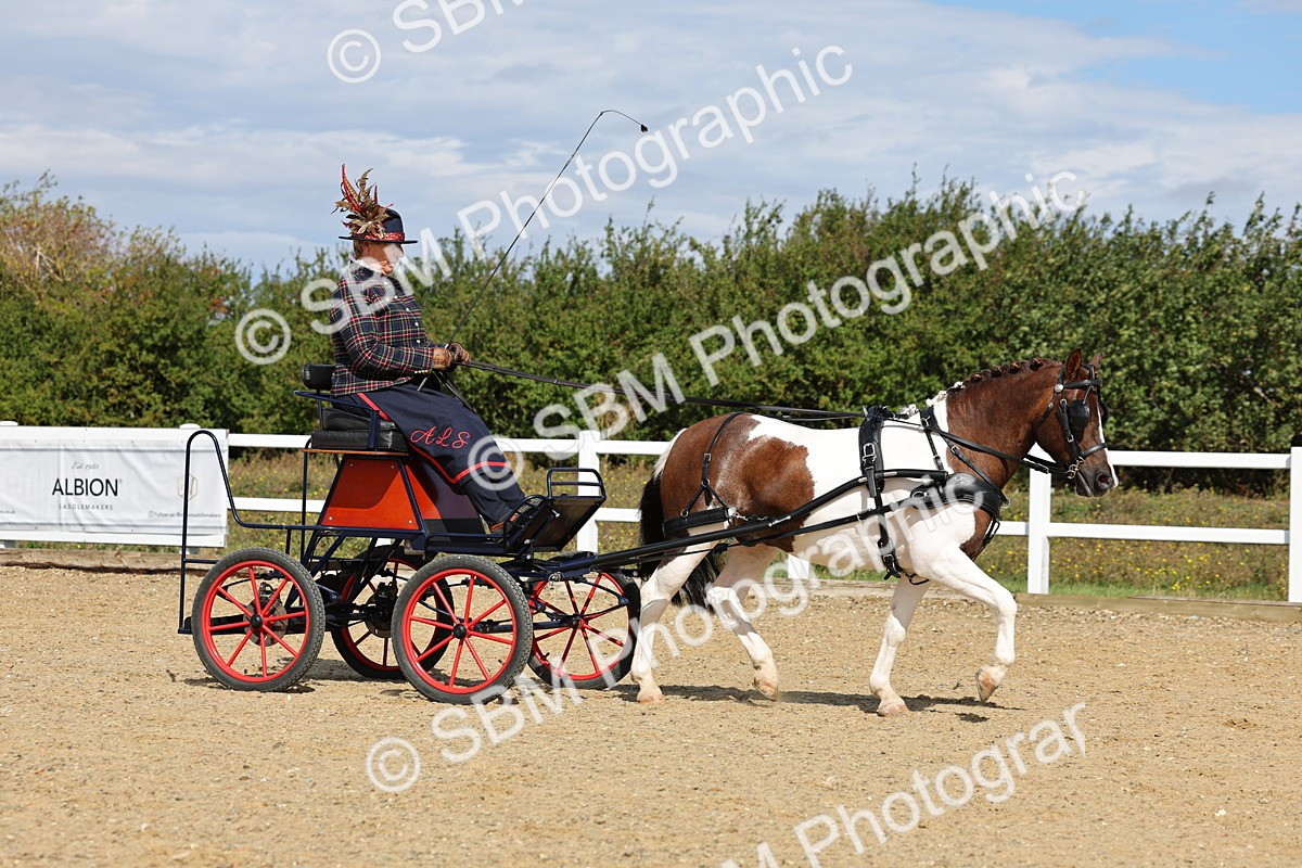 SBM_000892 - Class 8 - Novice Horse or Pony to any vehicle